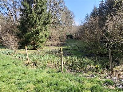 GROUNDS AND WOODLAND